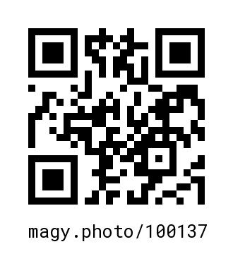 QR Code #100137