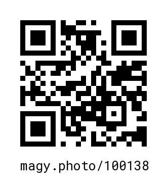 QR Code #100138