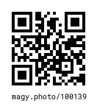 QR Code #100139