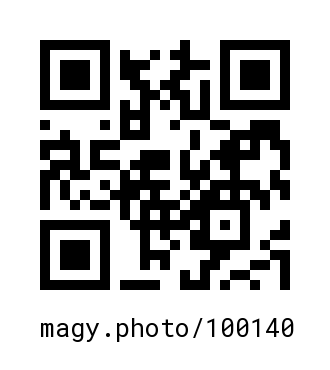 QR Code #100140