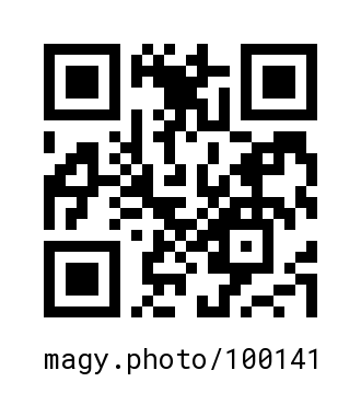 QR Code #100141