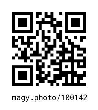 QR Code #100142
