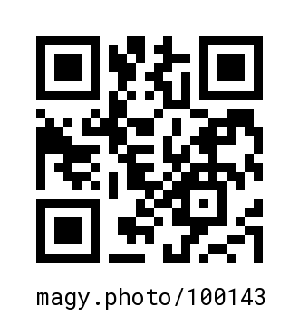 QR Code #100143