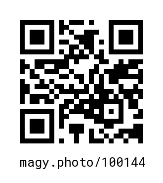QR Code #100144