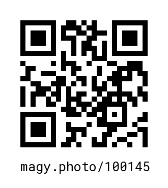 QR Code #100145