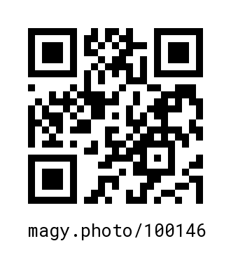 QR Code #100146