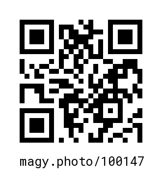 QR Code #100147