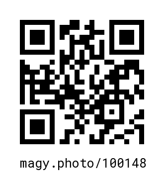 QR Code #100148