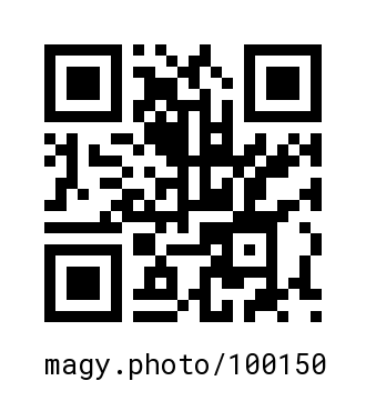 QR Code #100150