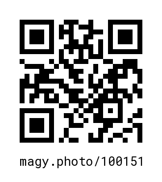 QR Code #100151