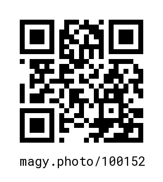 QR Code #100152