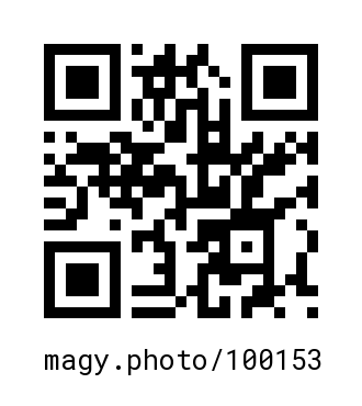 QR Code #100153