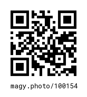 QR Code #100154