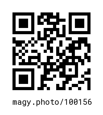 QR Code #100156