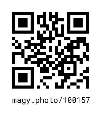 QR Code #100157