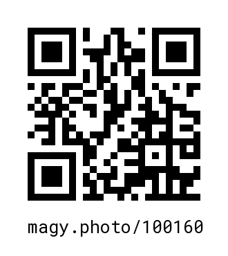 QR Code #100160