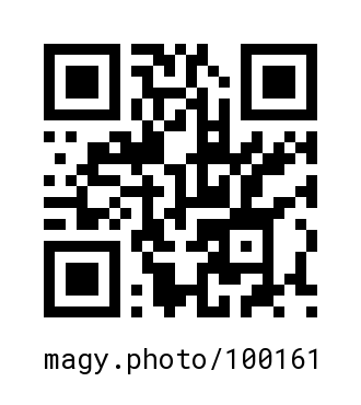 QR Code #100161