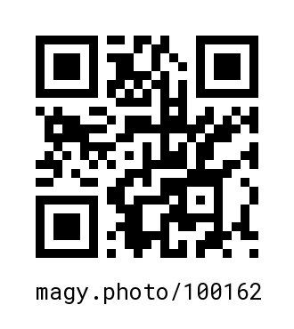 QR Code #100162