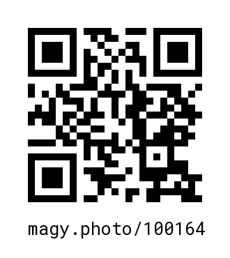 QR Code #100164