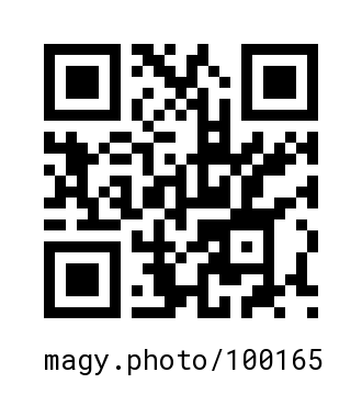 QR Code #100165