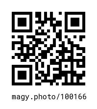 QR Code #100166