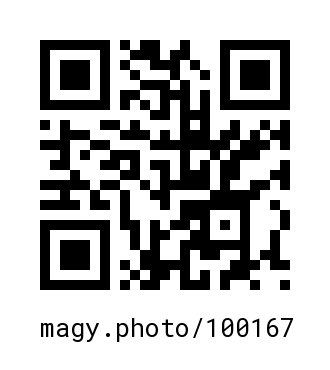QR Code #100167