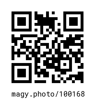 QR Code #100168