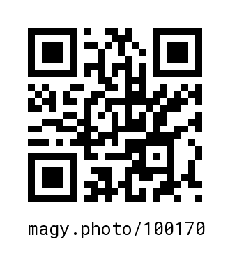 QR Code #100170