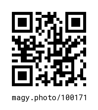 QR Code #100171