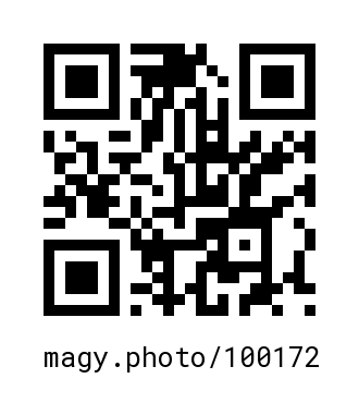 QR Code #100172
