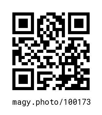 QR Code #100173
