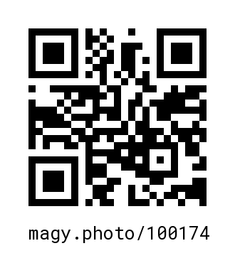 QR Code #100174