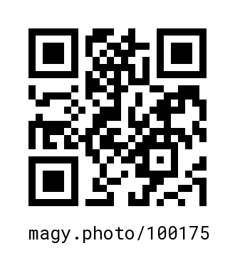 QR Code #100175