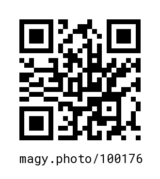 QR Code #100176