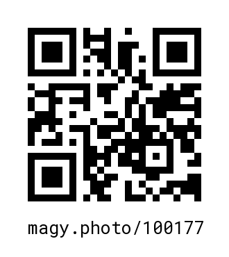 QR Code #100177