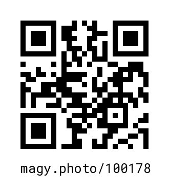 QR Code #100178