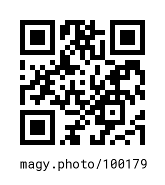 QR Code #100179