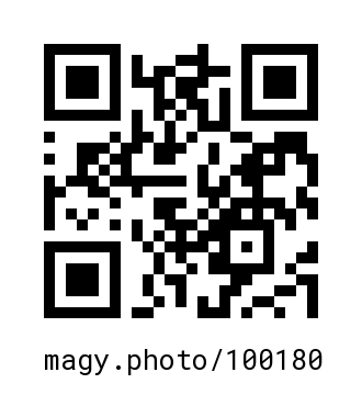 QR Code #100180