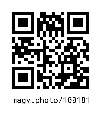 QR Code #100181