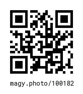 QR Code #100182