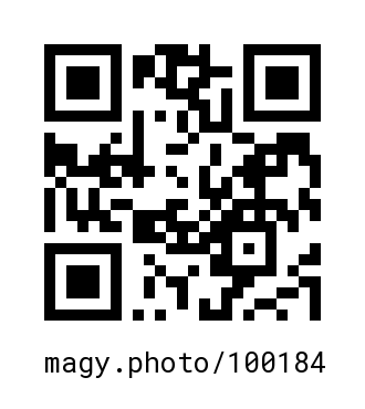 QR Code #100184