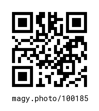 QR Code #100185