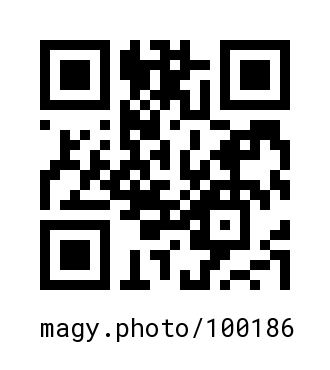 QR Code #100186
