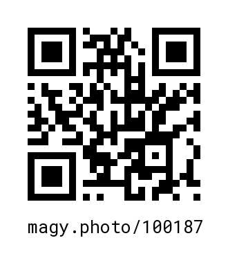 QR Code #100187