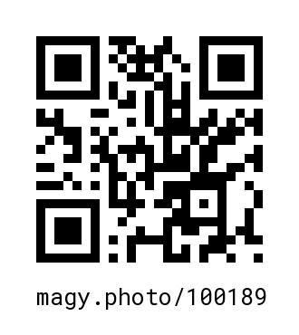 QR Code #100189