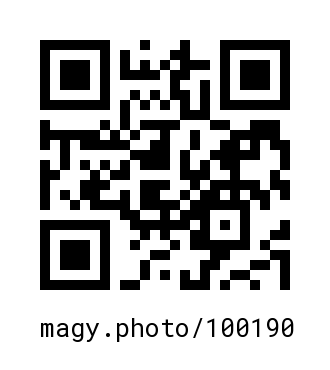 QR Code #100190