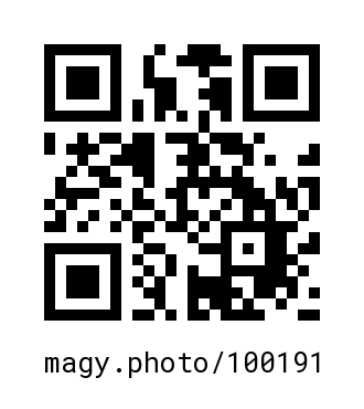 QR Code #100191