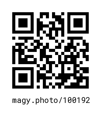 QR Code #100192