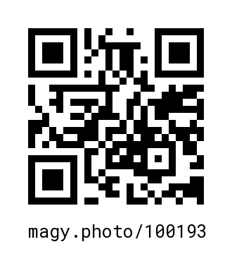 QR Code #100193
