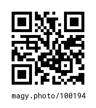 QR Code #100194